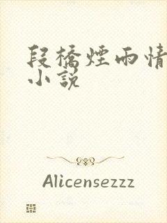 段桥烟雨情难离小说