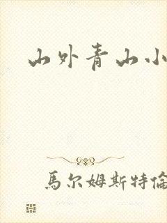 山外青山小说