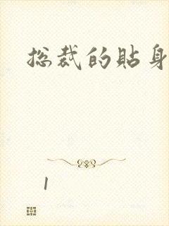 总裁的贴身玩宠