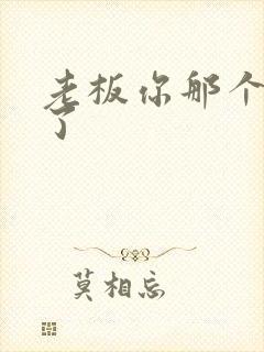 老板你那个太长了