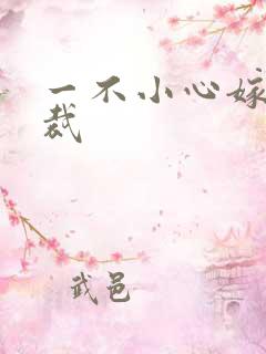 一不小心嫁给总裁