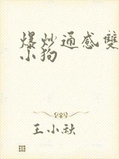 爆炒通感双胞胎小狗