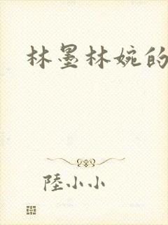 林墨林婉的小说