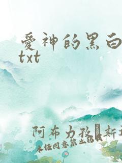 爱神的黑白羽翼txt