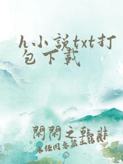 h小说txt打包下载