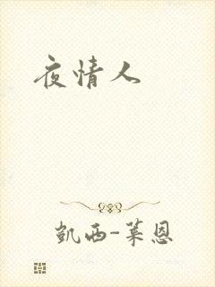 夜情人