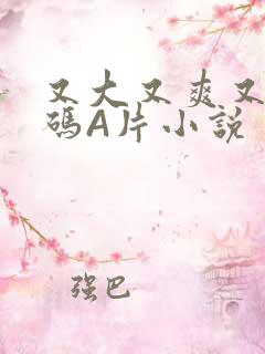 又大又爽又黄无码A片小说