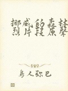 挪威的森林的激烈片段原声