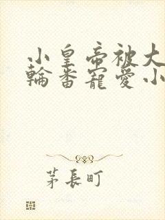 小皇帝被大臣们轮番宠爱小说