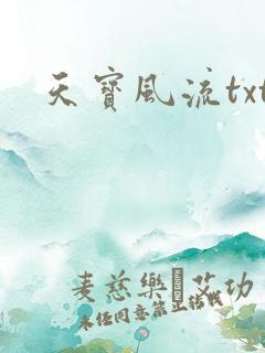 天宝风流txt