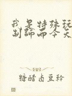 我是特殊玩具定制师而今天的客户