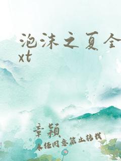 泡沫之夏全集txt