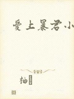 爱上暴君小甜心