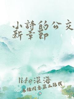 小诗的公交车最新章节