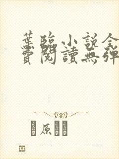 叶临小说全文免费阅读无弹窗