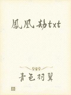 凤凰劫txt