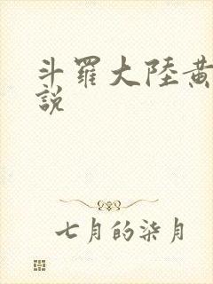 斗罗大陆黄化小说
