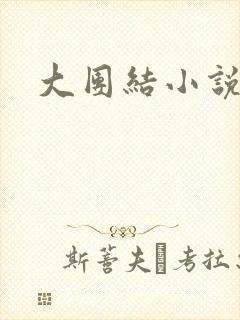 大团结小说阅读