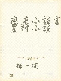 恋老小说言情网农村小说