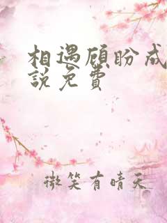 相遇顾盼成欢小说免费