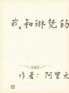 我和琳梵的故事