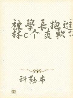 被学长抱进小树林c个爽软件