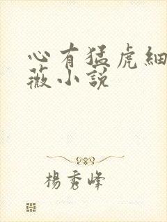 心有猛虎细嗅蔷薇小说