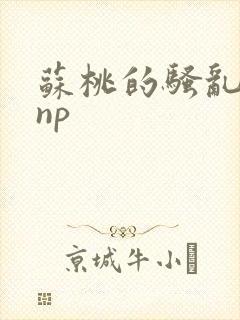 苏桃的骚乱文肉np