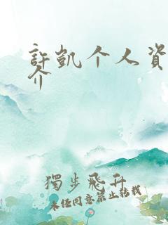 许凯个人资料简介