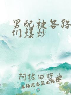 男配被各路大佬们爆炒