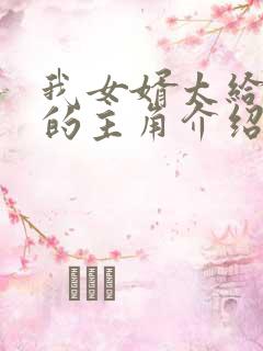 我女婿太给力了的主角介绍