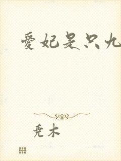 爱妃是只九尾猫