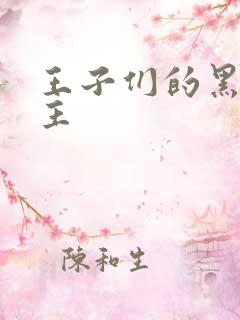 王子们的黑道公主