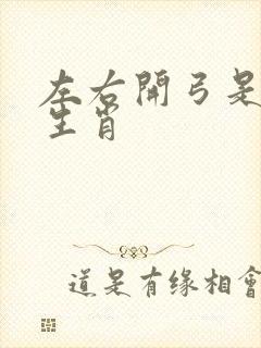 左右开弓是什么生肖