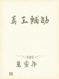 真王辅助