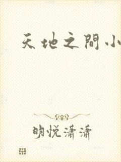 天地之间小说