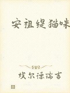 安祖缇猫咪抱抱