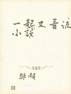 一起又看流星雨小说