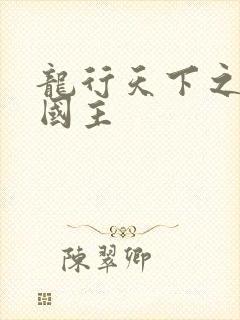 龙行天下之真假国主
