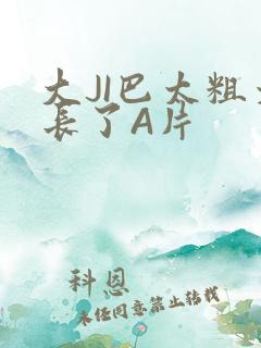 大JI巴太粗太长了A片
