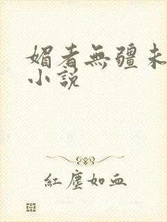 媚者无疆未删减小说