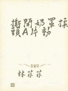 撕开奶罩揉吮奶头A片动