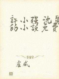 许小强 沈丽娟的小说免费阅读