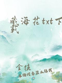 藏海花txt下载