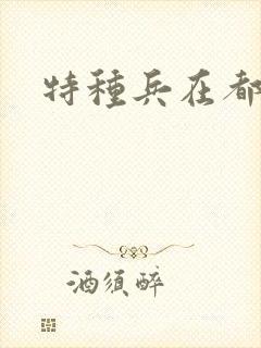 特种兵在都市