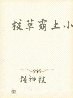 校草霸上小丫头