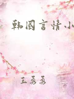 韩国言情小说