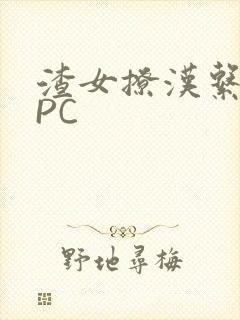 渣女撩汉系统NPC