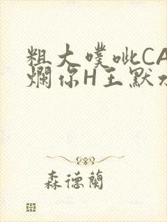 粗大噗呲CAO烂你H王默水王子