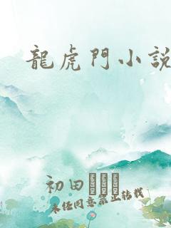 龙虎门小说